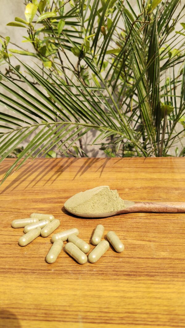 Moringa Capsules - Pack of 120 - Image 2